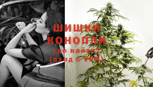 твердый Горняк