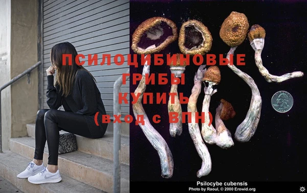 гашишное масло Аркадак