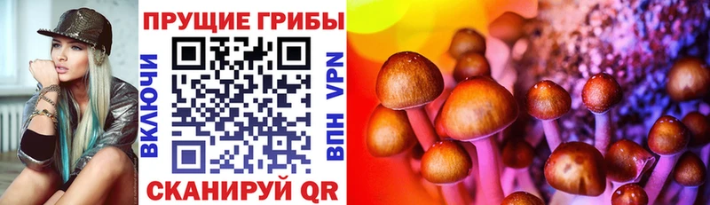 Псилоцибиновые грибы мухоморы  Камешково 